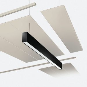 Ceilings Panels and Lighting